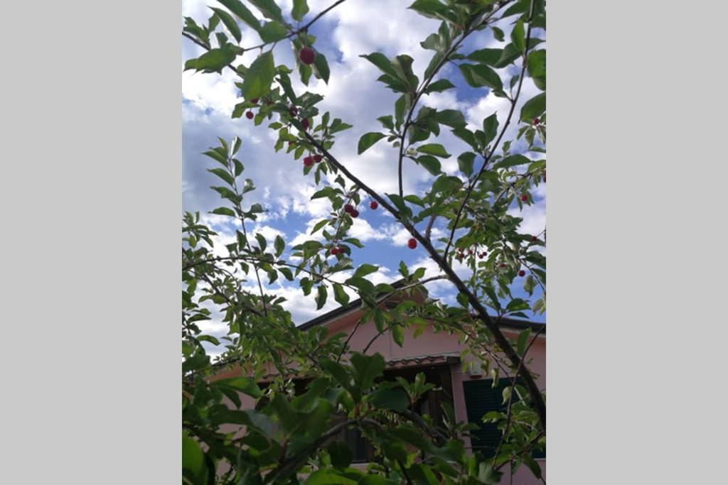 Villa Arenella เวียสเต ภายนอก รูปภาพ